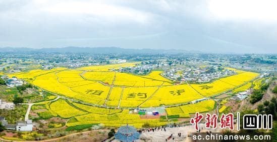 泸州泸县：建好现代农业园区 赋能乡村全面振兴