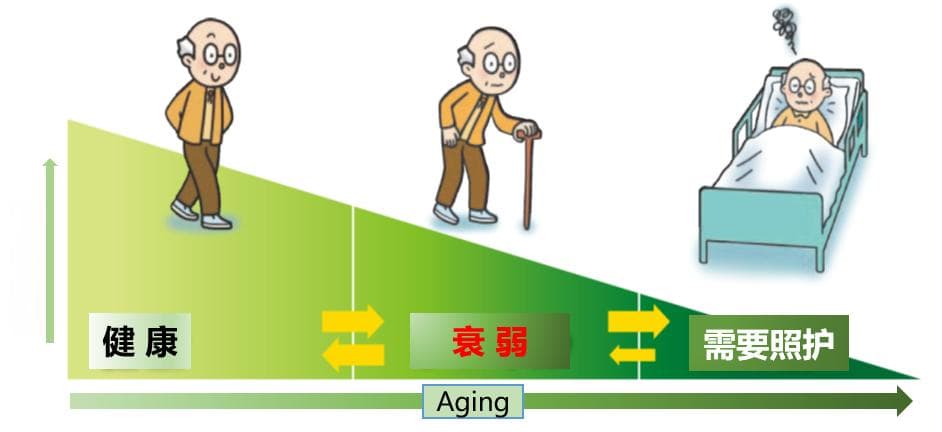 体能储备与健康：如何通过储备体能延缓衰老、提升健康水平