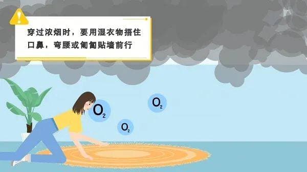 应急管理部发布：五大自然灾害自救实用指南