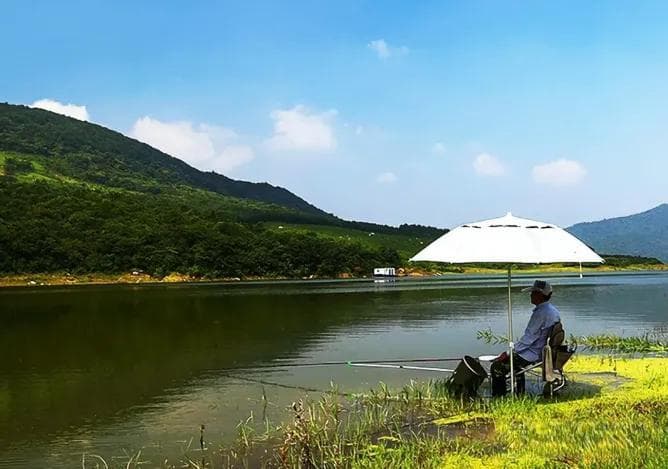 伞椅竿灯器：五款科技装备让垂钓体验全面升级