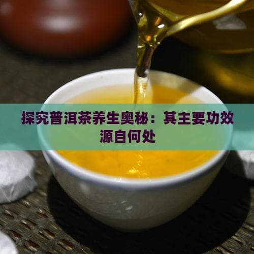 探究普洱茶养生奥秘：其主要功效源自何处