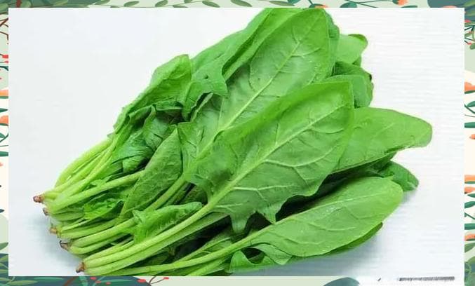 绿叶蔬菜这样吃：十大功效+实用指南