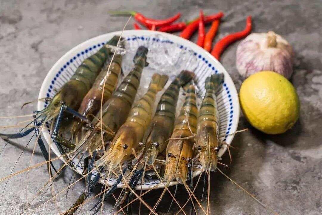 八月，吃啥应季海鲜？渔民推荐这10种，新鲜，肥美，错过再等一年