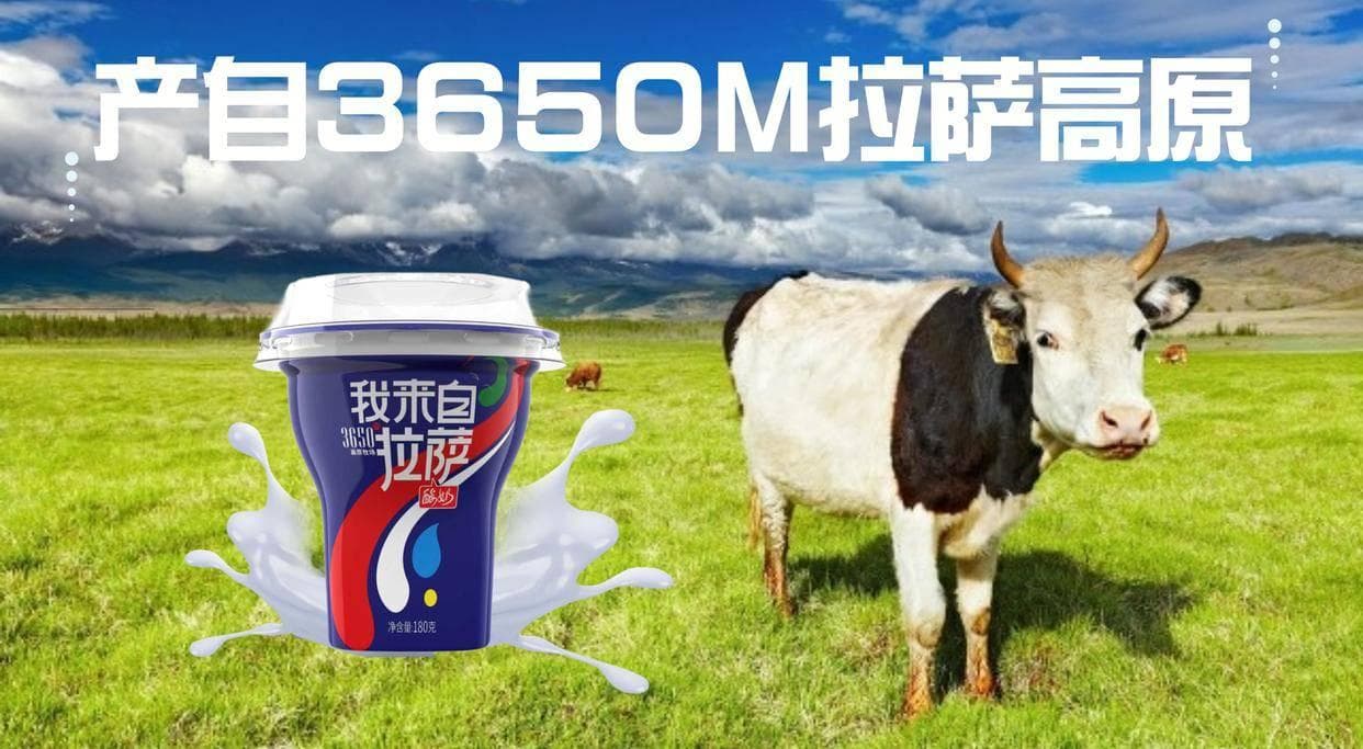 牛奶是如何从液体变成固体的？其中有什么奥妙？