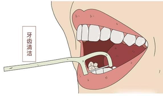 合集|小鹿妈妈的分类、区别、使用方法