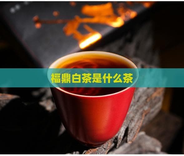 福鼎白茶是什么茶