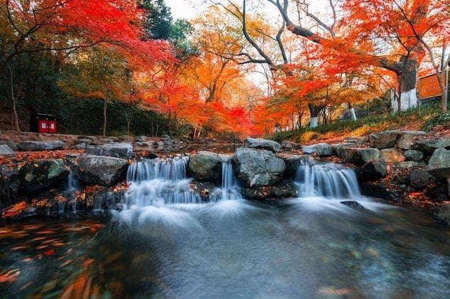 九溪烟树旅游攻略：杭州最美溪流与烟树景观深度解析
