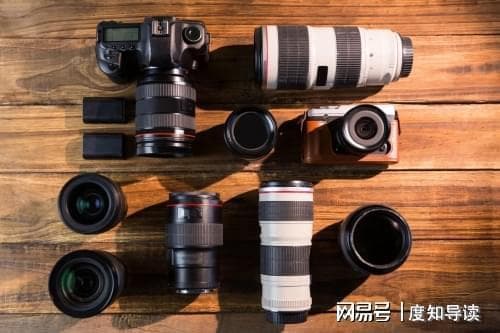 视觉中国：高质感萌宠大片创意指南！