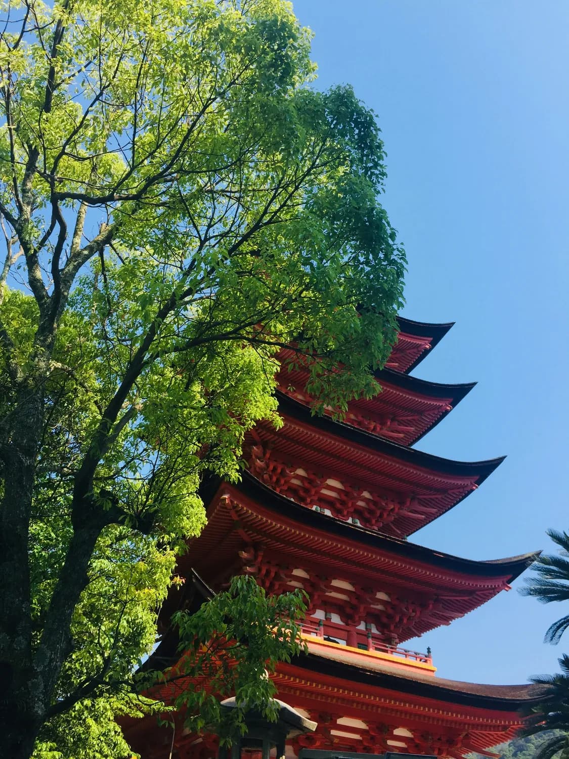 红塔山公园：玉溪市红塔区的周末休闲胜地