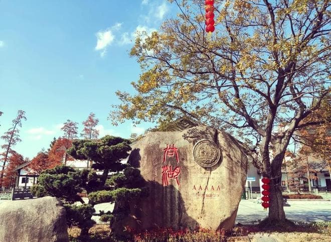 尚湖湾游记：江南明珠的自然与人文之旅
