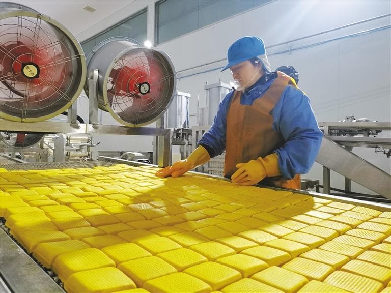 从小作坊到大工厂——看白水豆腐点“豆”成金