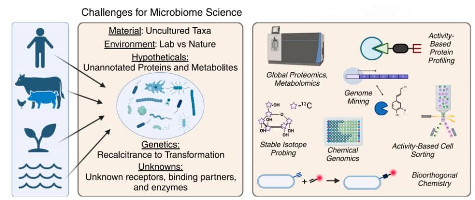 Cell Chemical Biology：化学生物学与微生物组科学的交汇