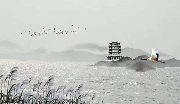 芳草萋萋鹦鹉洲——探寻一首古诗的全貌与深意