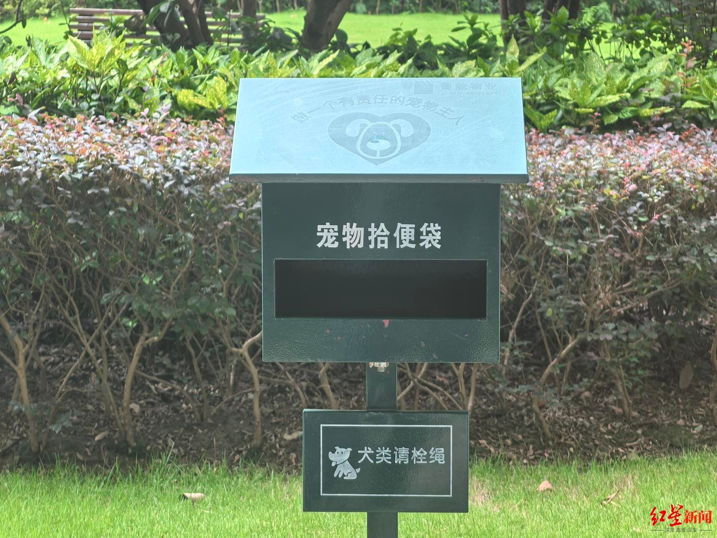 成都有小区开设“宠物厕所”，相关部门：考虑推广
