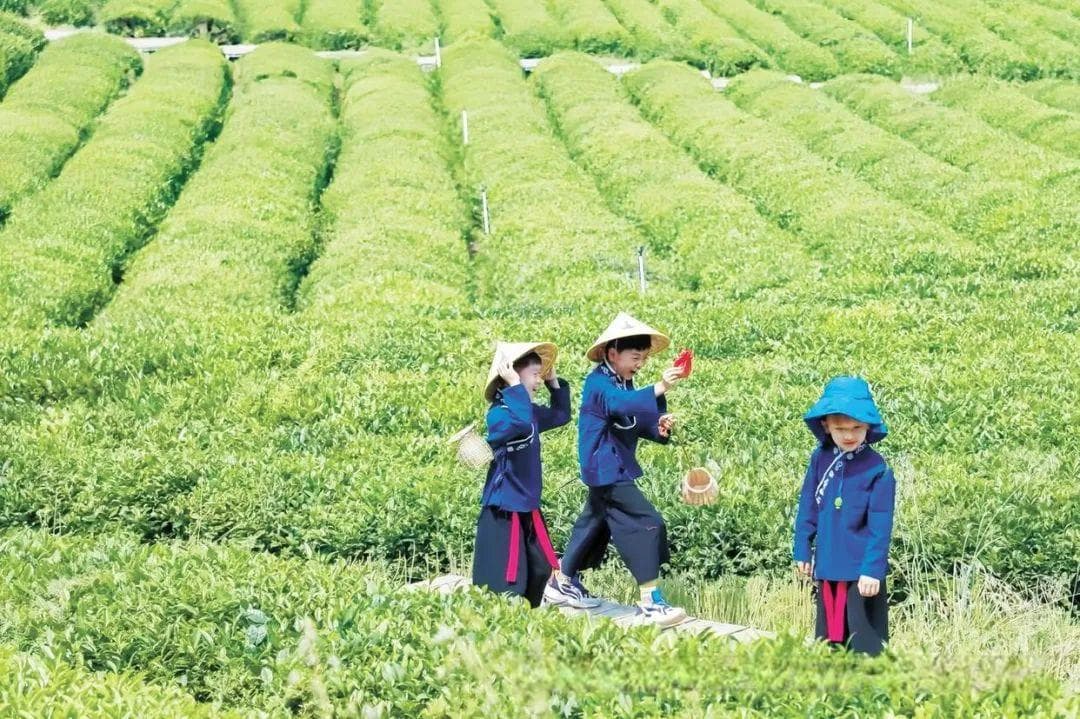 文化中国行丨走进研学旅游基地 体验文化之旅