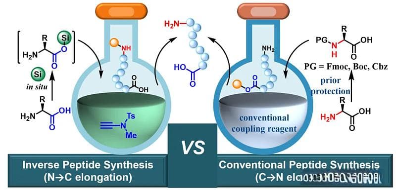 广州医科大学赵军锋教授团队JACS：无保护氨基酸合成多肽领域的突破性进展