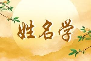 姓名学：研究姓名及其文化价值的学问