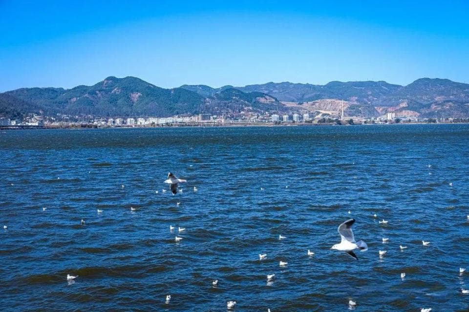 滇池和洱海哪个大？大小较量！揭秘云南湖泊之谜！