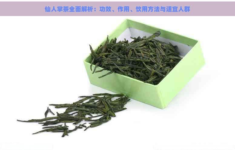 仙人掌茶全面解析：功效、作用、饮用方法与适宜人群