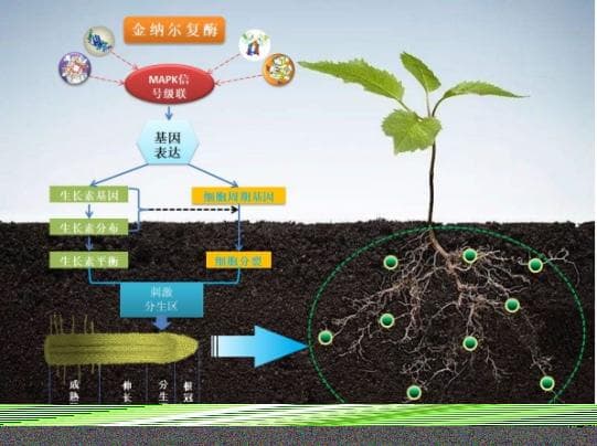 春分农事指南：从南到北的农业生产全攻略