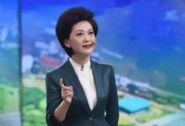 从地方台到央视：王宁的主持人生