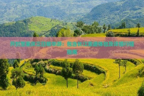 开封至重庆三日精华游：包含长江索道体验及详细行程指南