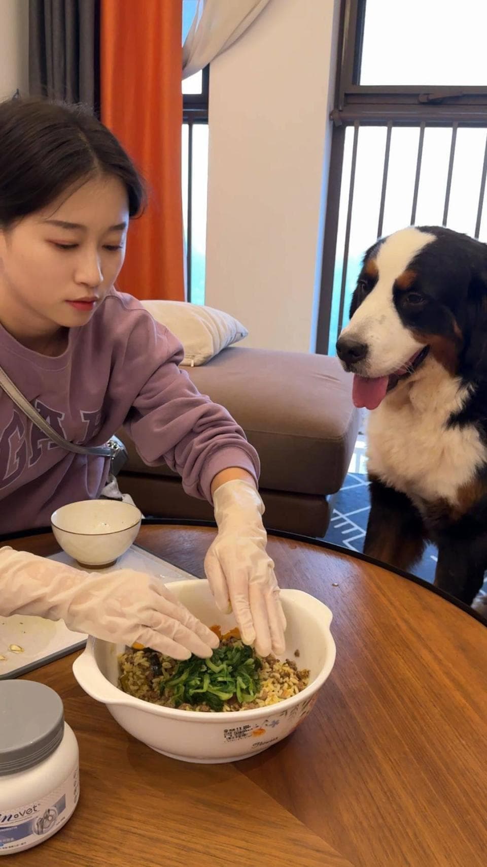 撸猫遛狗也能赚钱的“宠托师”，真的是年轻人的“梦中情职”吗？