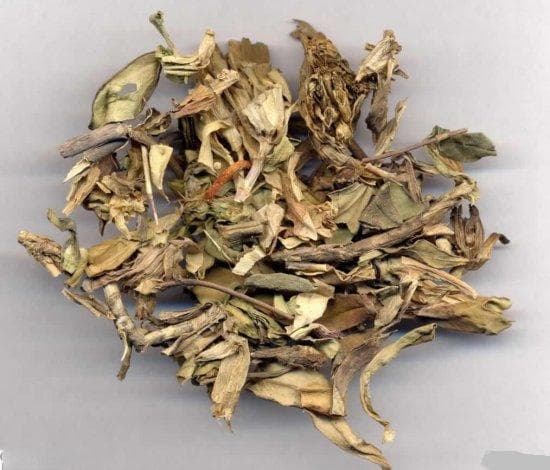 龙胆草的功效与应用