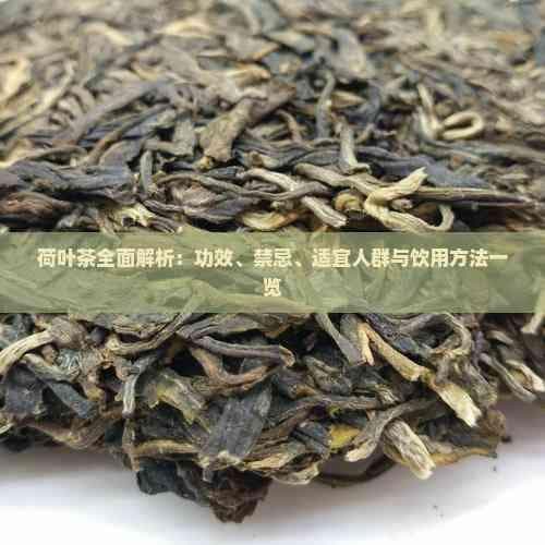 荷叶茶全面解析：功效、禁忌、适宜人群与饮用方法一览
