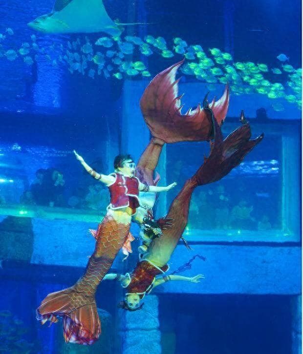 超绝水下迎财神！广州位居春节旅游热度最高城市第二