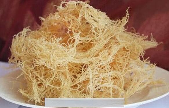 石花菜的营养价值与食用方法