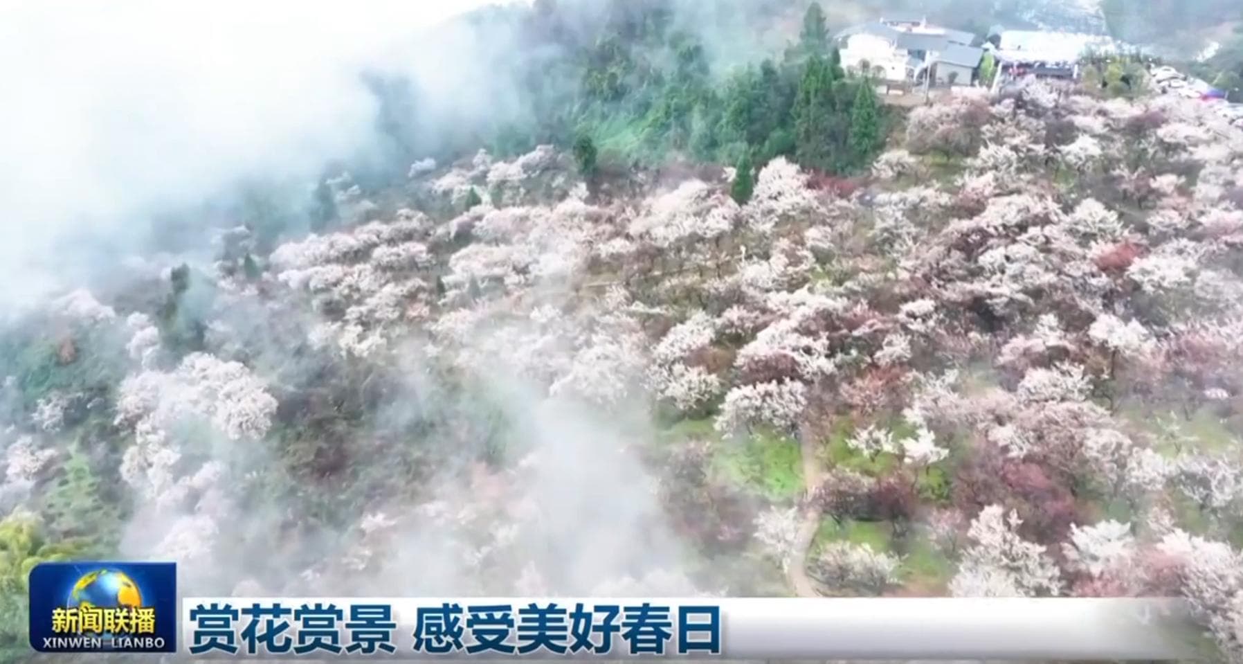 赏花赏景 感受美好春日