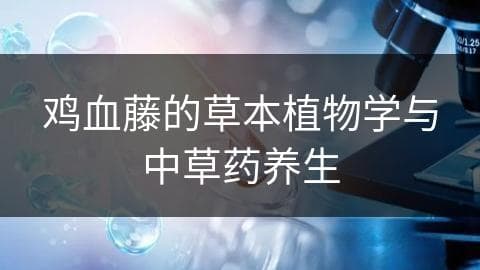 鸡血藤的草本植物学与中草药养生