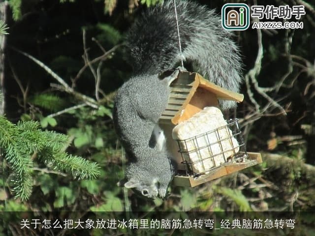 关于怎么把大象放进冰箱里的脑筋急转弯_经典脑筋急转弯