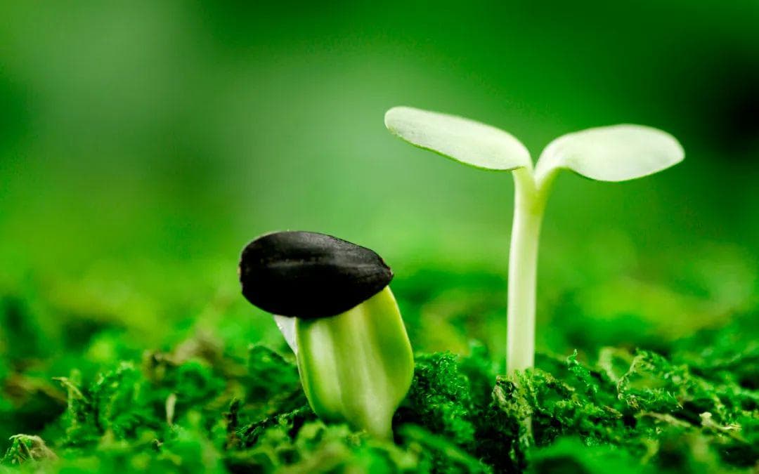 古诗词最高级的情景关系：以景结情