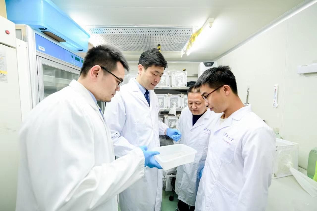清华团队发现关键环境共生菌，可有效阻断蚊媒病毒传播