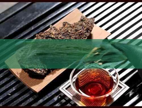 宇航员太空喝茶特别课程：适应微重力的茶水饮用技巧