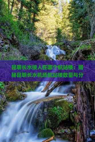 昆明长水接人在哪个航站楼：揭秘昆明长水机场航站楼数量与分布