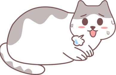 猫咪心跳加速呼吸急促怎么办？多种疾病原因及应对指南