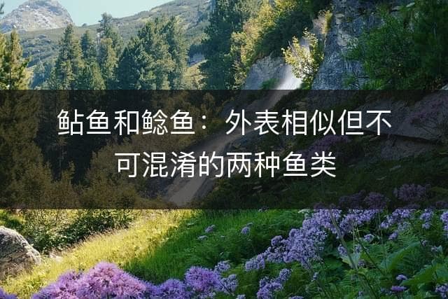 鲇鱼和鲶鱼：外表相似但不可混淆的两种鱼类