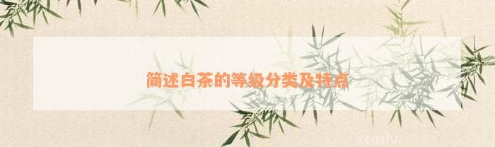 白茶的等级分类及特点