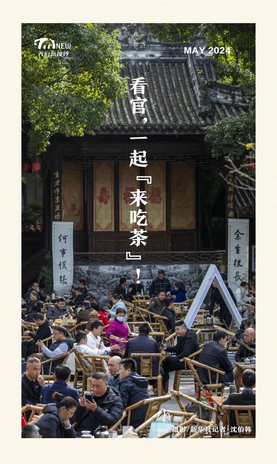 看官，一起“来吃茶”！