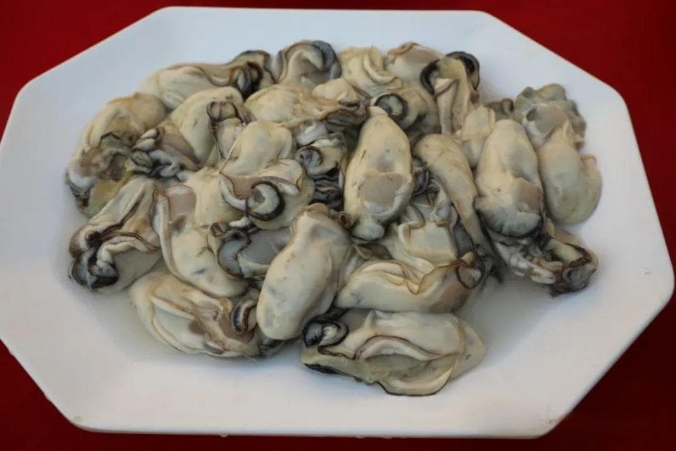 央视关注江门特色咸汤圆！今日冬至，这些五邑汤圆你吃了吗？