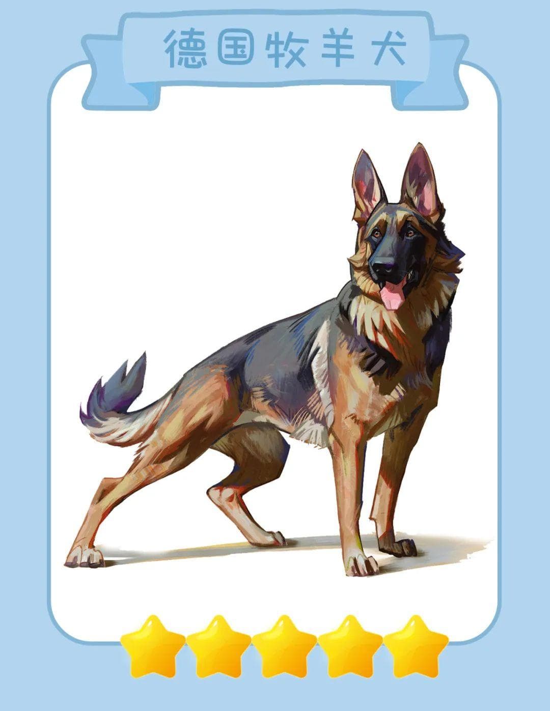 这些优秀的警犬，你最喜欢哪一种？