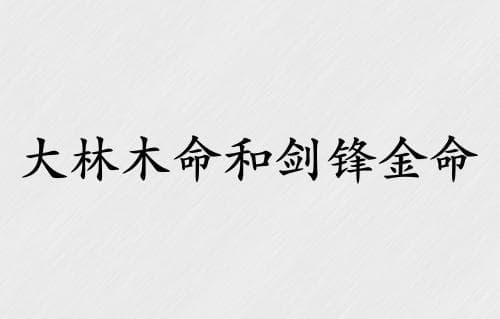 大林木命和剑锋金命合适吗