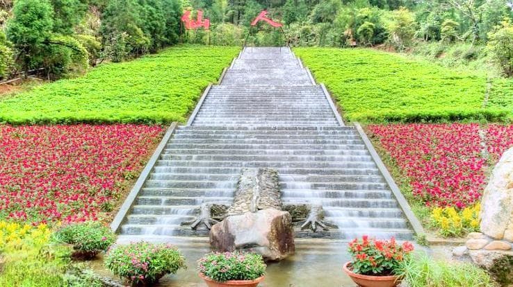 广东茂名高州仙人洞：绿野仙踪里的“杜鹃花王国”