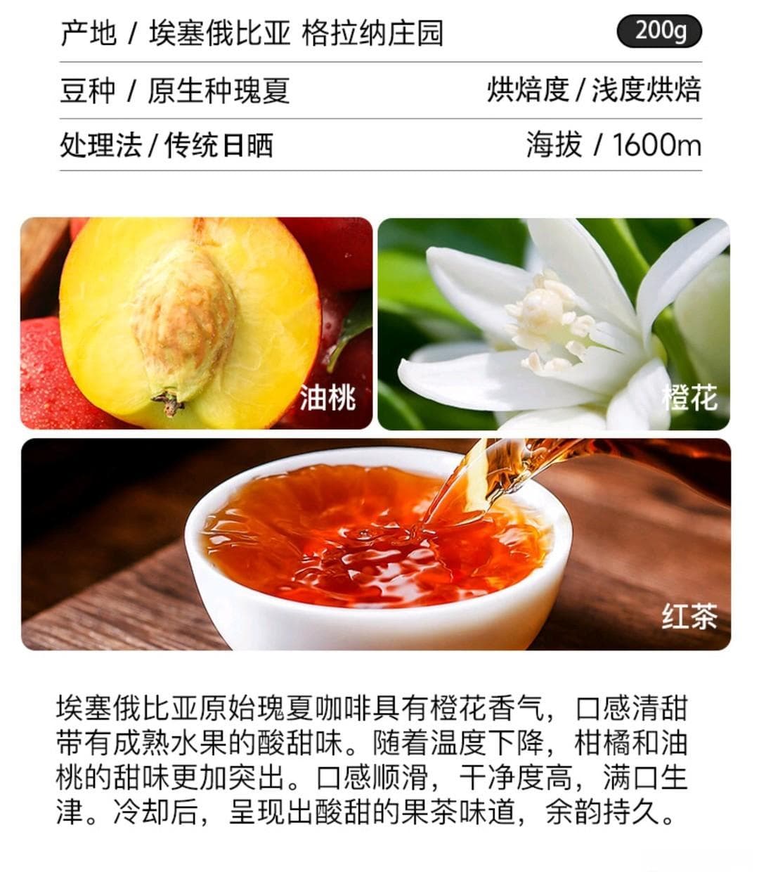 咖啡豆的分类、产地、特点一览