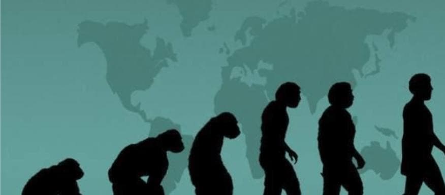 考古表明：中国人本土独立起源，并非由非洲迁徙而来
