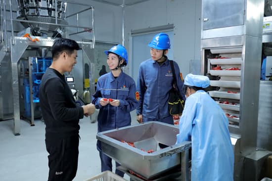 电力赋能特色农业 瑶乡月柿网销四方