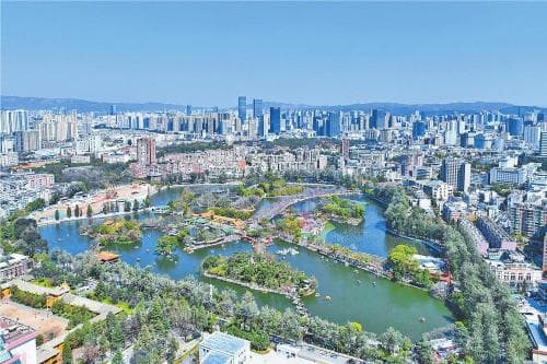 红嘴鸥如期而至，翠湖公园焕新颜